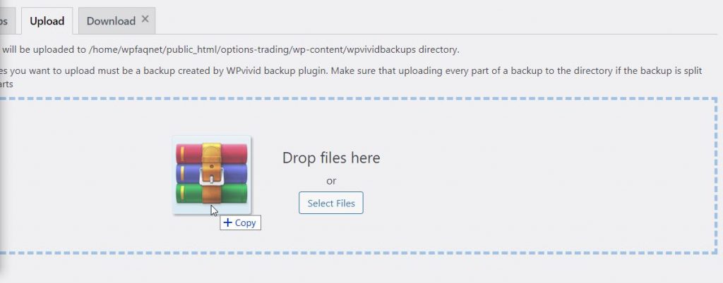 Upload File To Restore