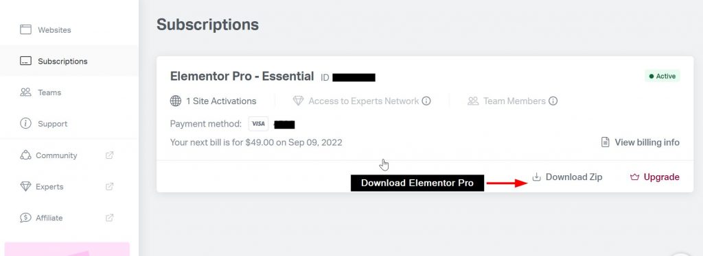 Download Elementor Pro from the Member area